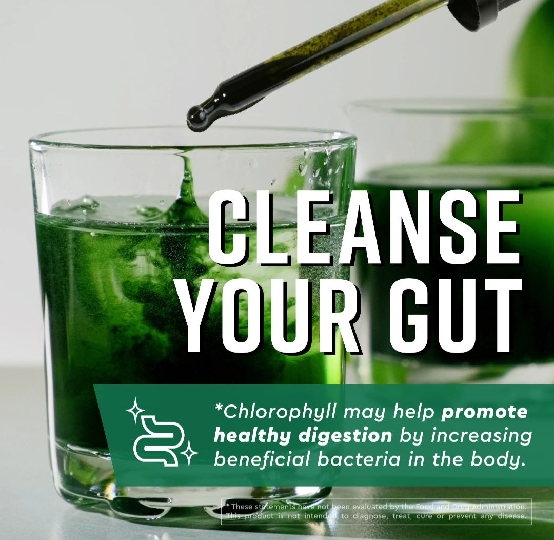 Liquid Chlorophyll + Matcha Drops – Natural Detox & Energy Support